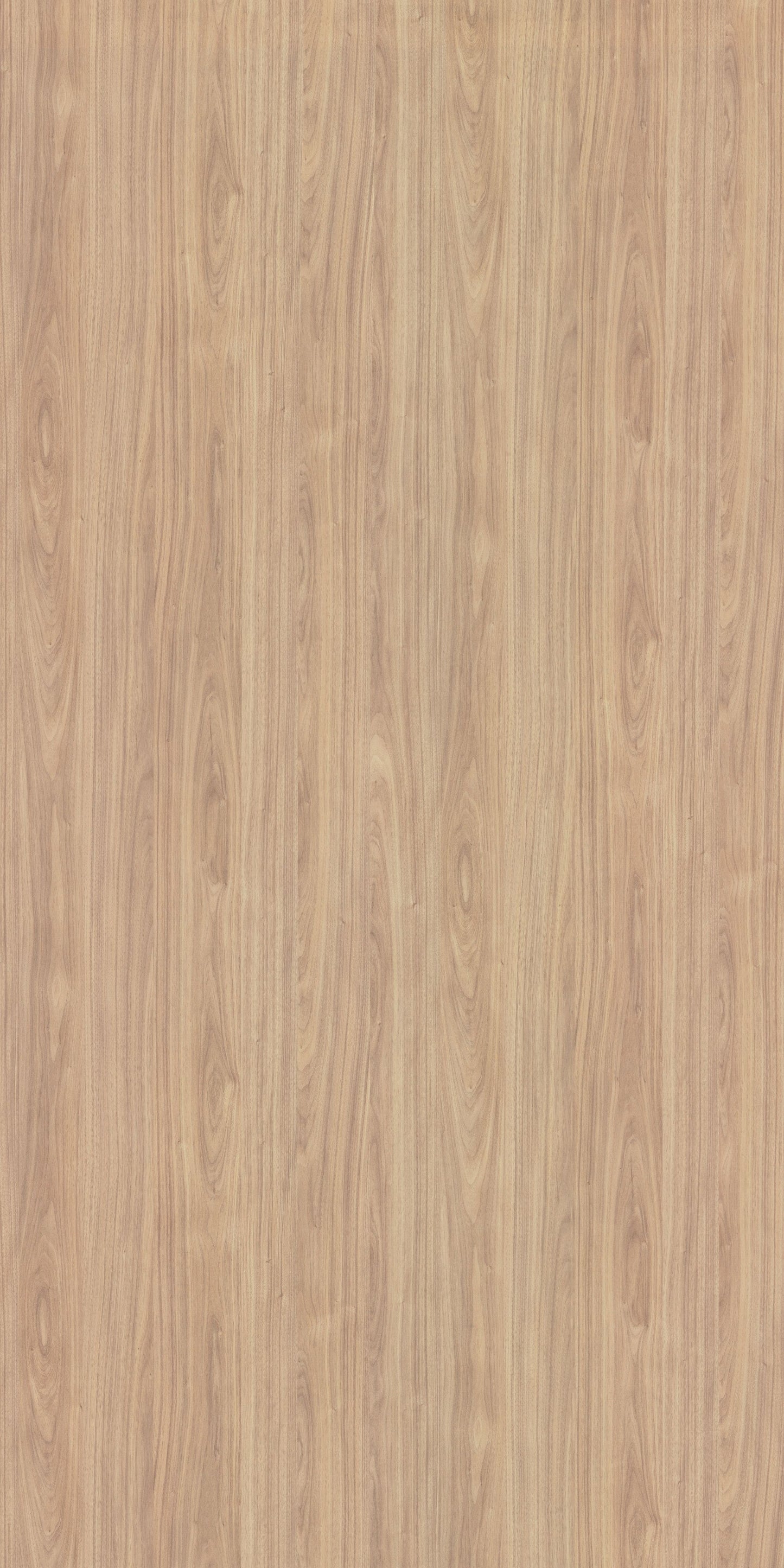 Merino Laminate - 14661 - Glaston Walnut - 1mm 8ft x 4ft