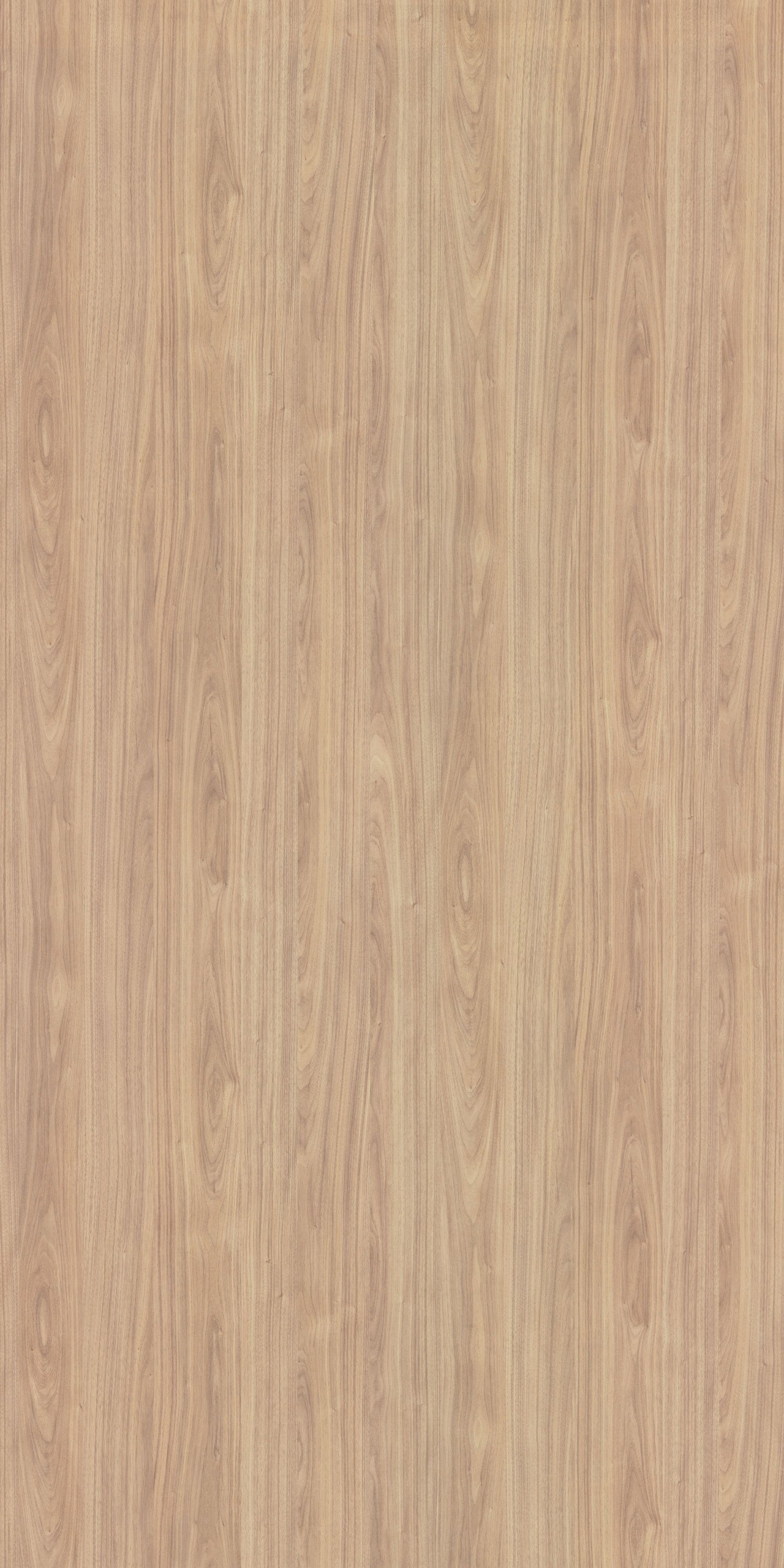 Merino Laminate - 14661 - Glaston Walnut - 1mm 8ft x 4ft