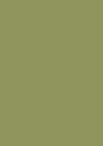 Finetouch Laminate 1mm - 153 - Lime