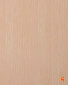 GreenTouch 0.8mm Laminates - 1701 - Rising Beech