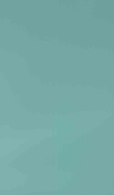 Century 1mm Laminate - 288 - Dream Green 8ftx4ft