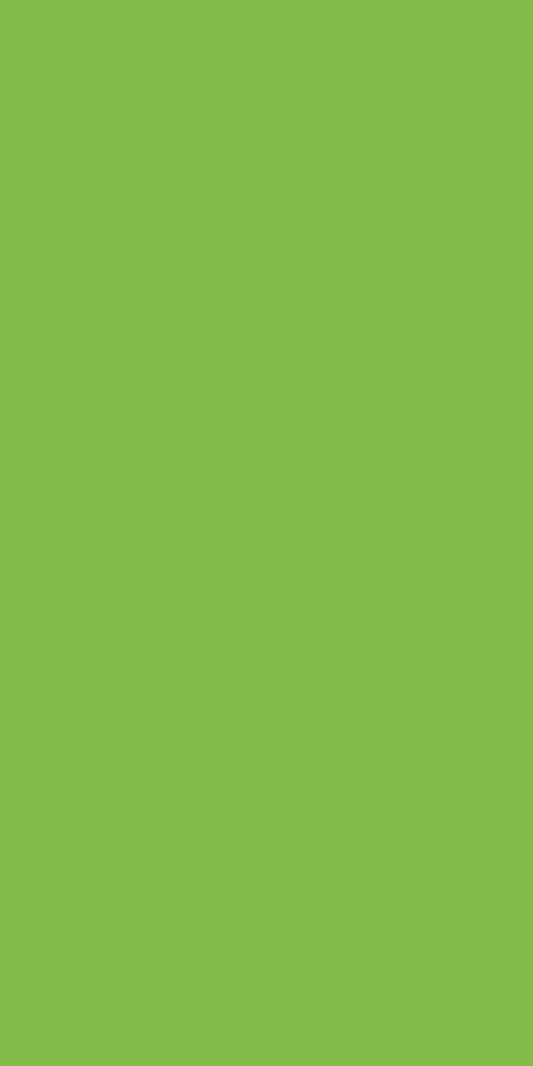 Merino Laminate - 21143 - Parrot Green - 1mm 8ft x 4ft