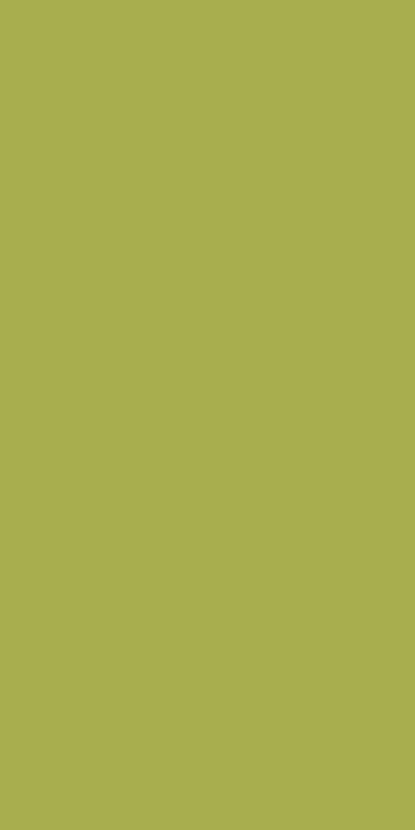 Merino Laminate - 21163 - Lime - 1mm 8ft x 4ft