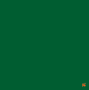Merino Calplus 0.8mm Laminates - 21433 - Neo Banana Leaf