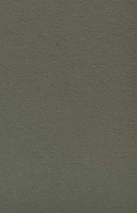 Merino Liner - 21449