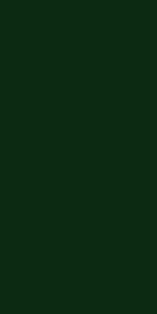 Merino Laminate - 22293 - Forest Green - 1mm 8ft x 4ft