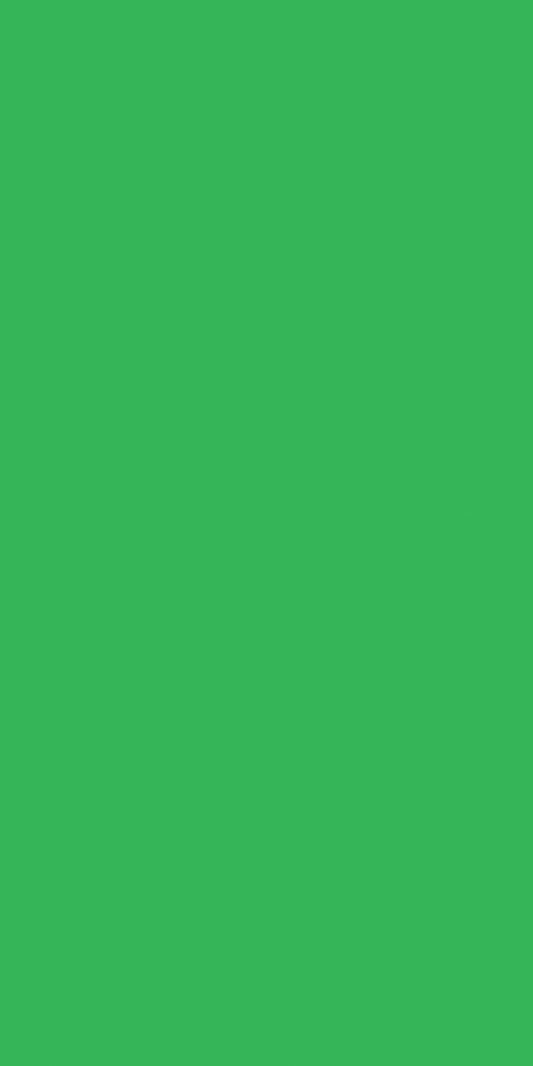 Greenlam Laminate 1mm - 241 - Kiwi Green