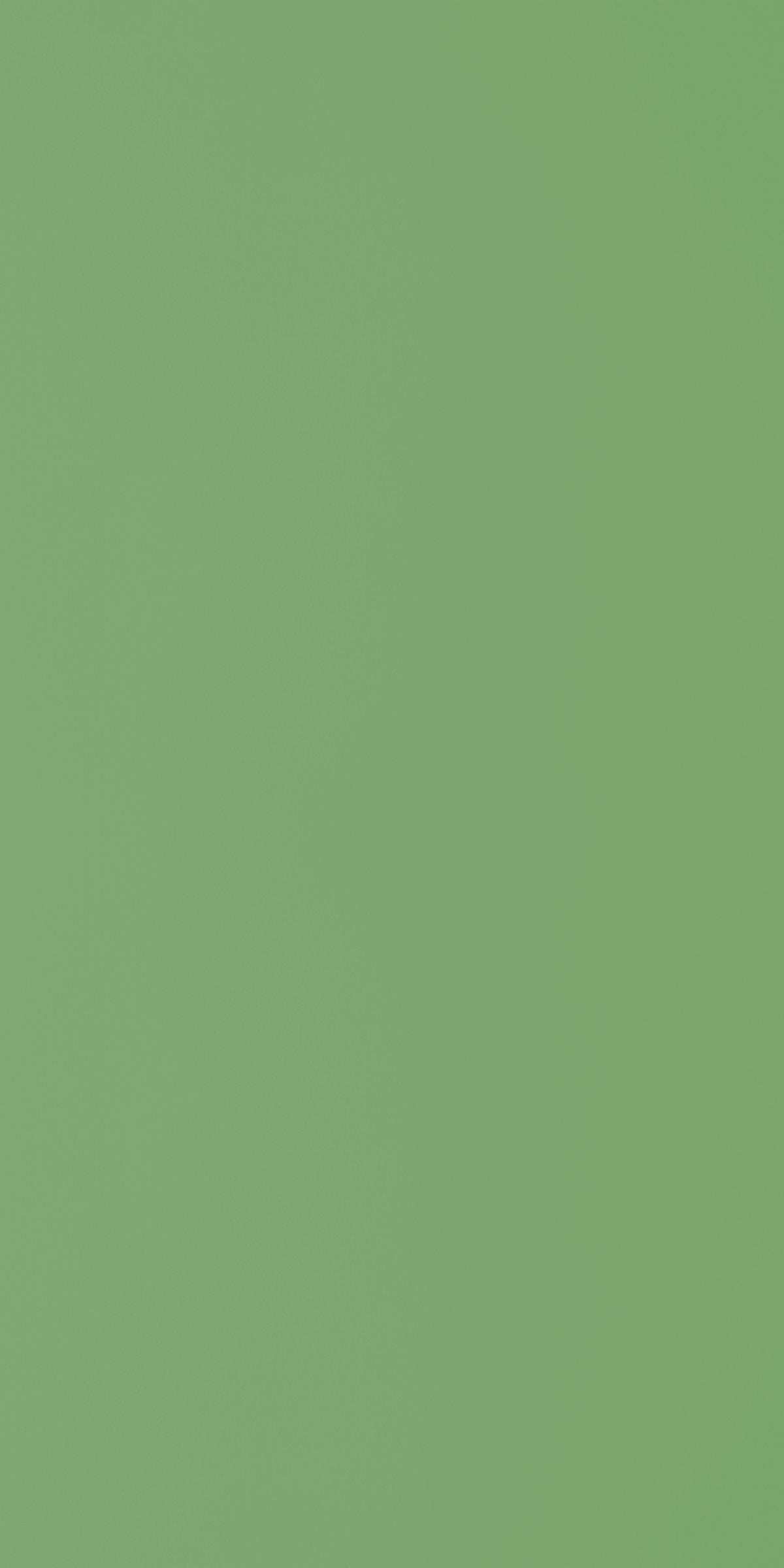 Greenlam Laminate 1mm - 248 - Leaf Green