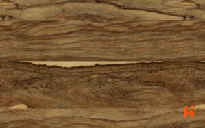 Stylam Laminate - 2601 - Jungle Ultra