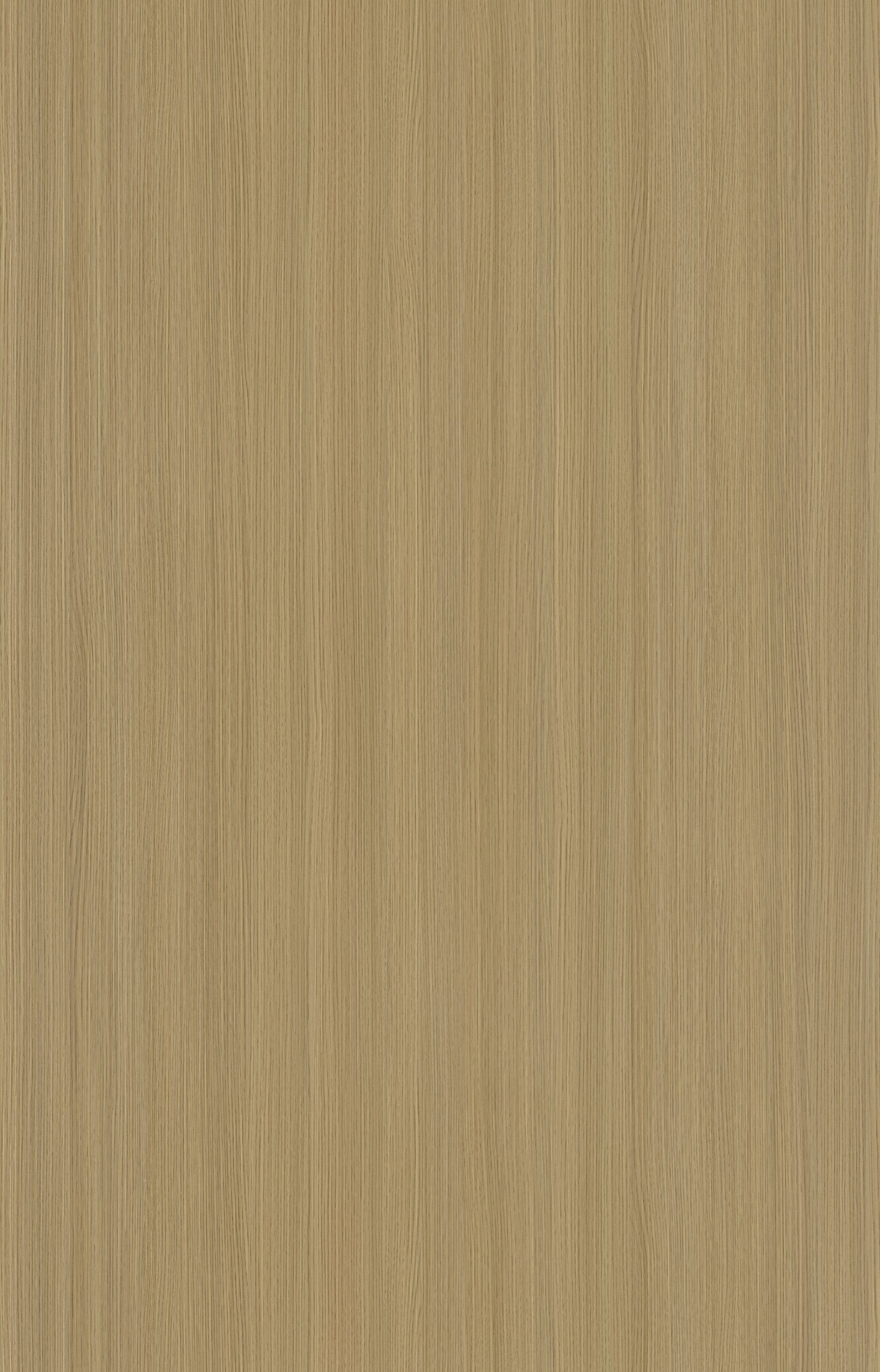Designtree 1mm Thermolaminate - Dtw 24 - 261 - Tinnis Oak St18 