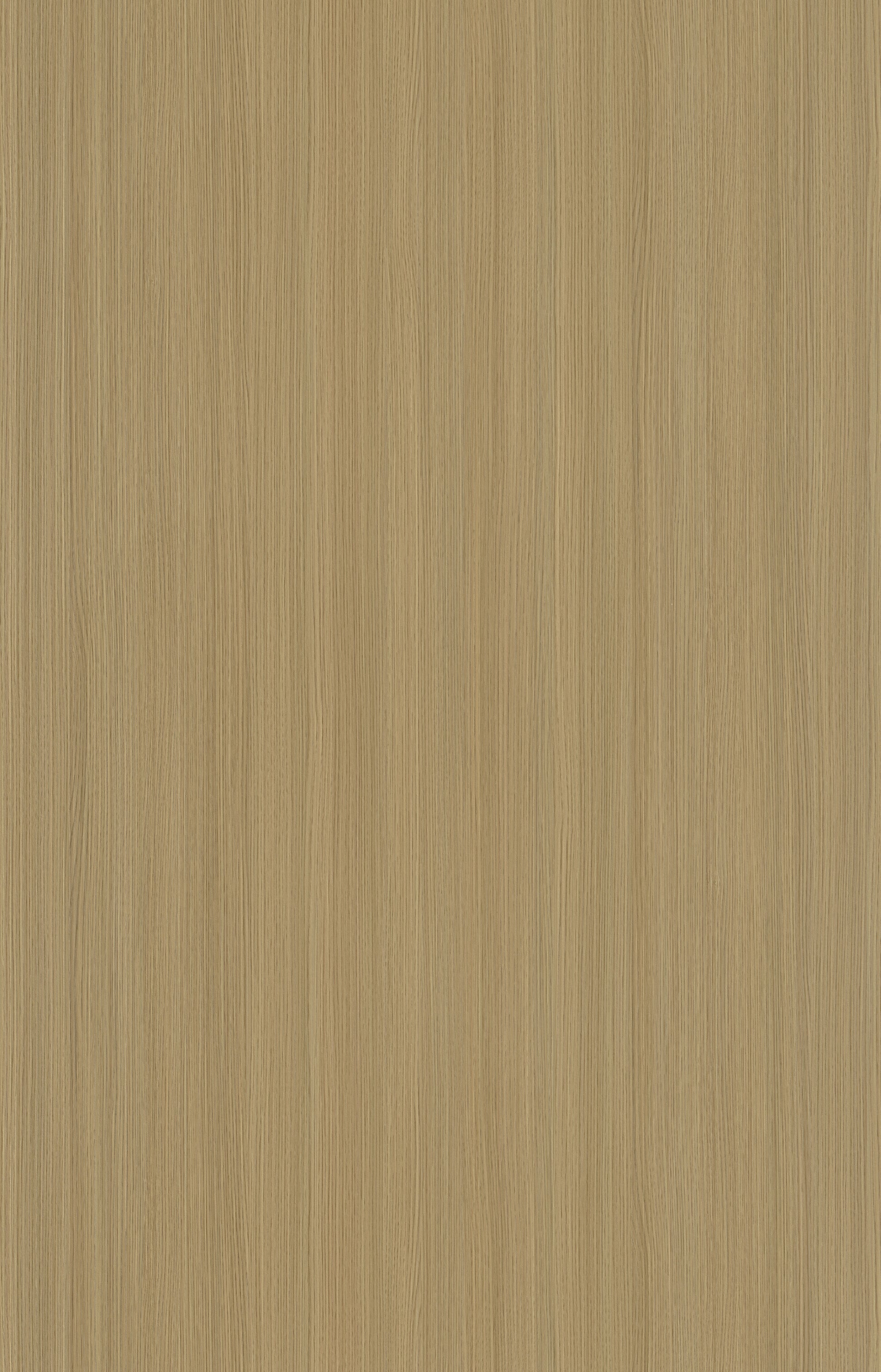Designtree 1mm Thermolaminate - Dtw 24 - 261 - Tinnis Oak St18 