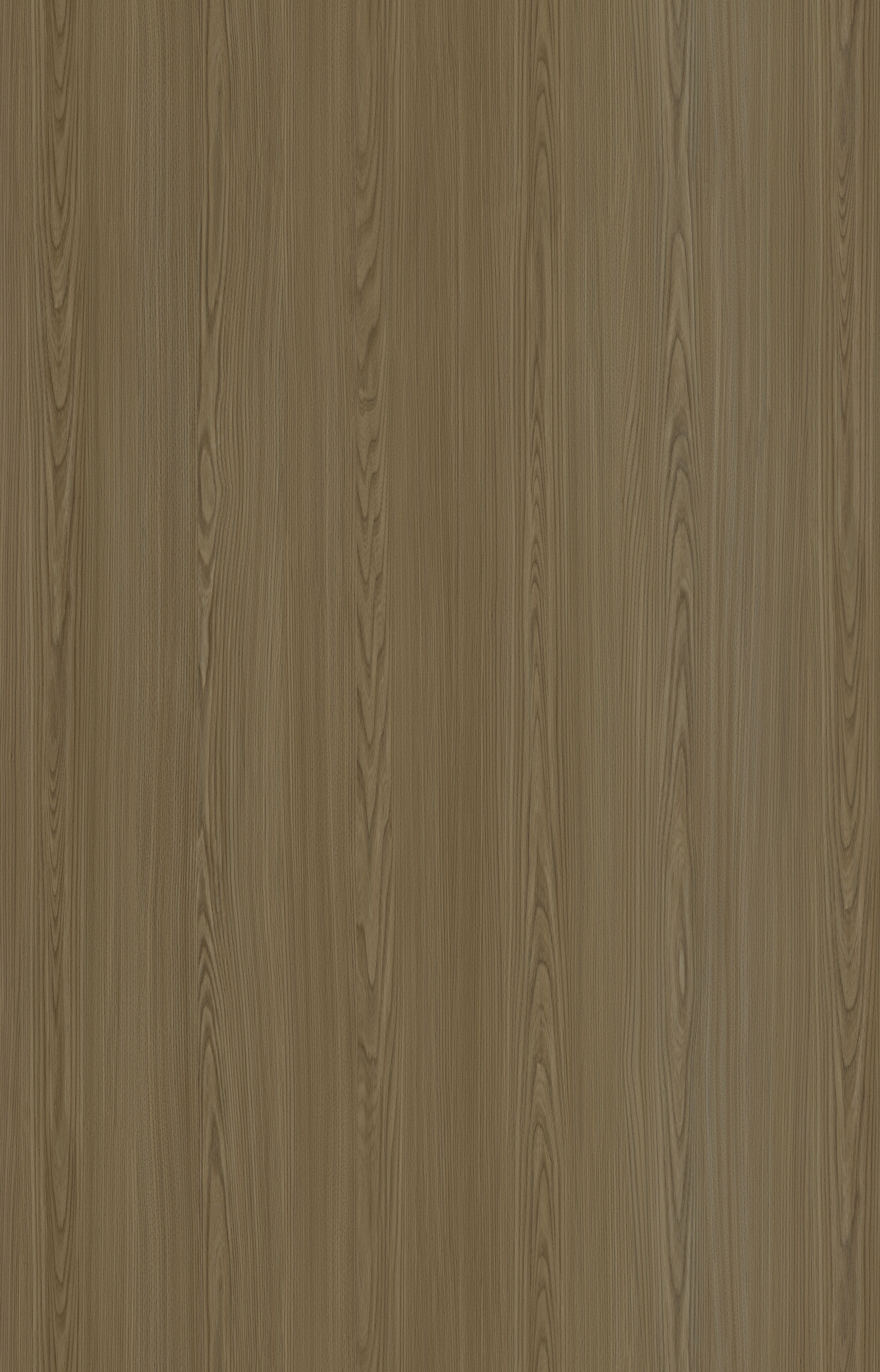 271_BIRNAM_OAK_ST03.jpg?v=