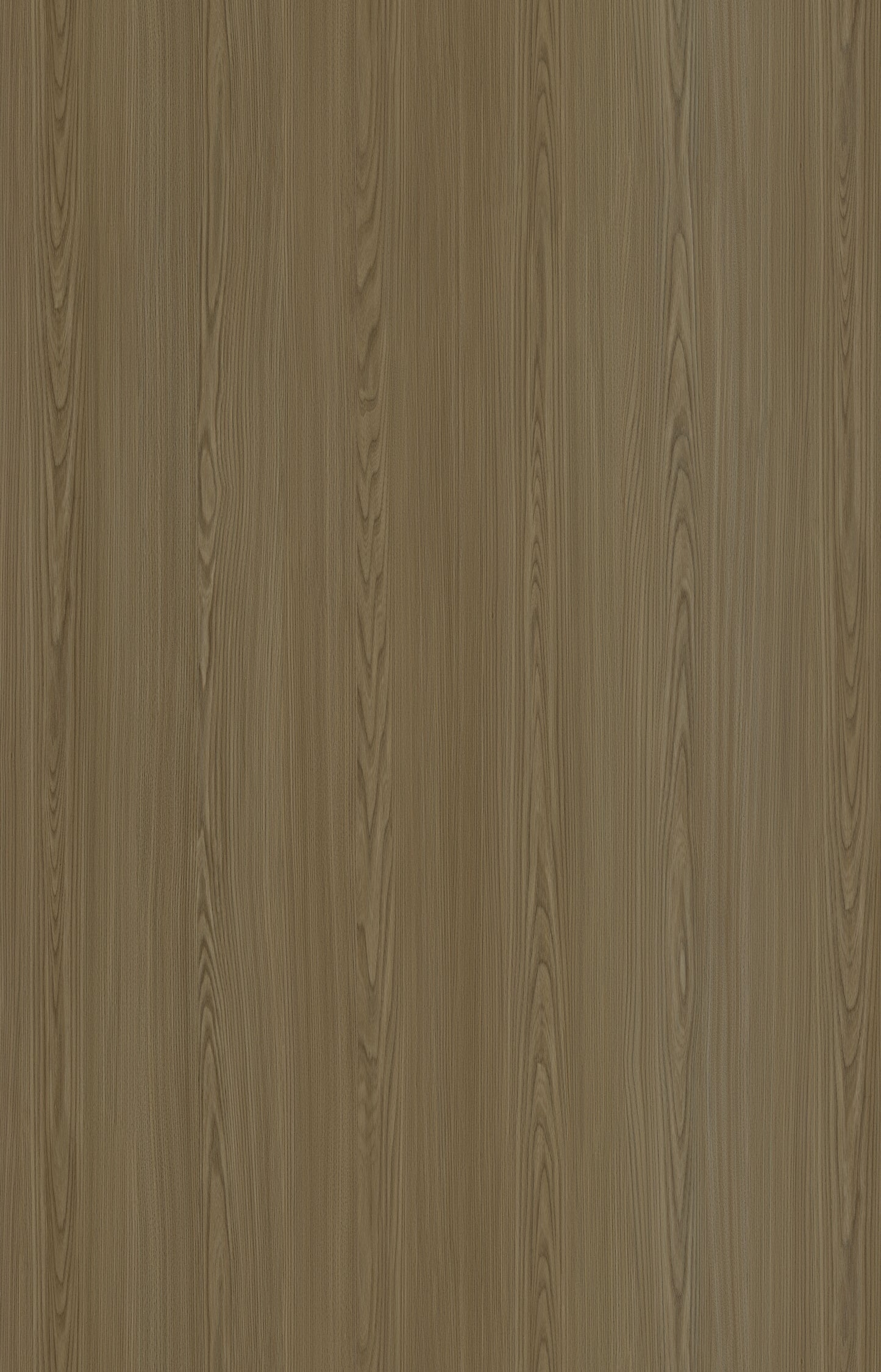 Designtree 1mm Thermolaminate - Dtw 24 - 271 - Birnam Oak St03 
