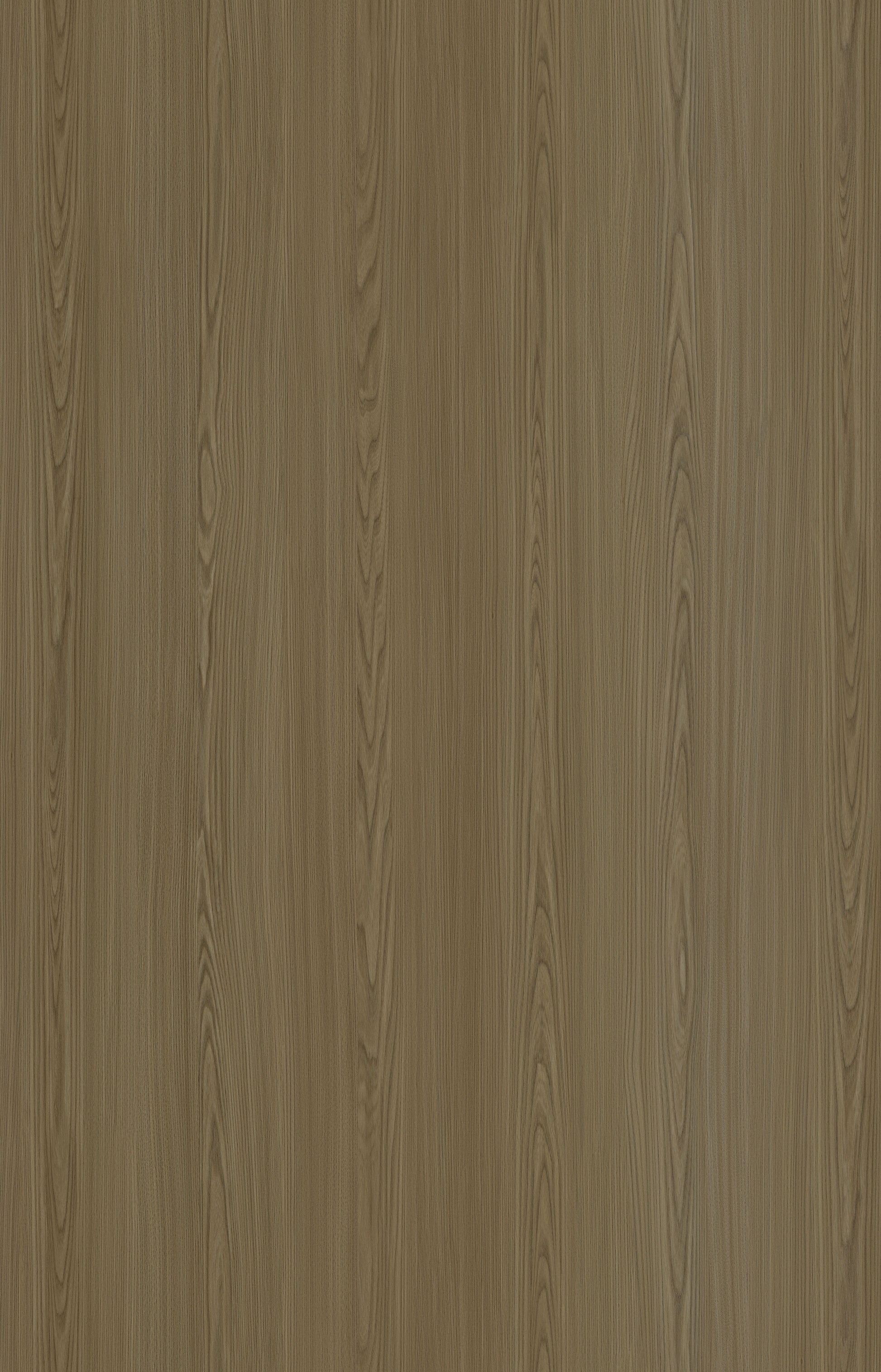 Designtree 1mm Thermolaminate - Dtw 24 - 271 - Birnam Oak St03 