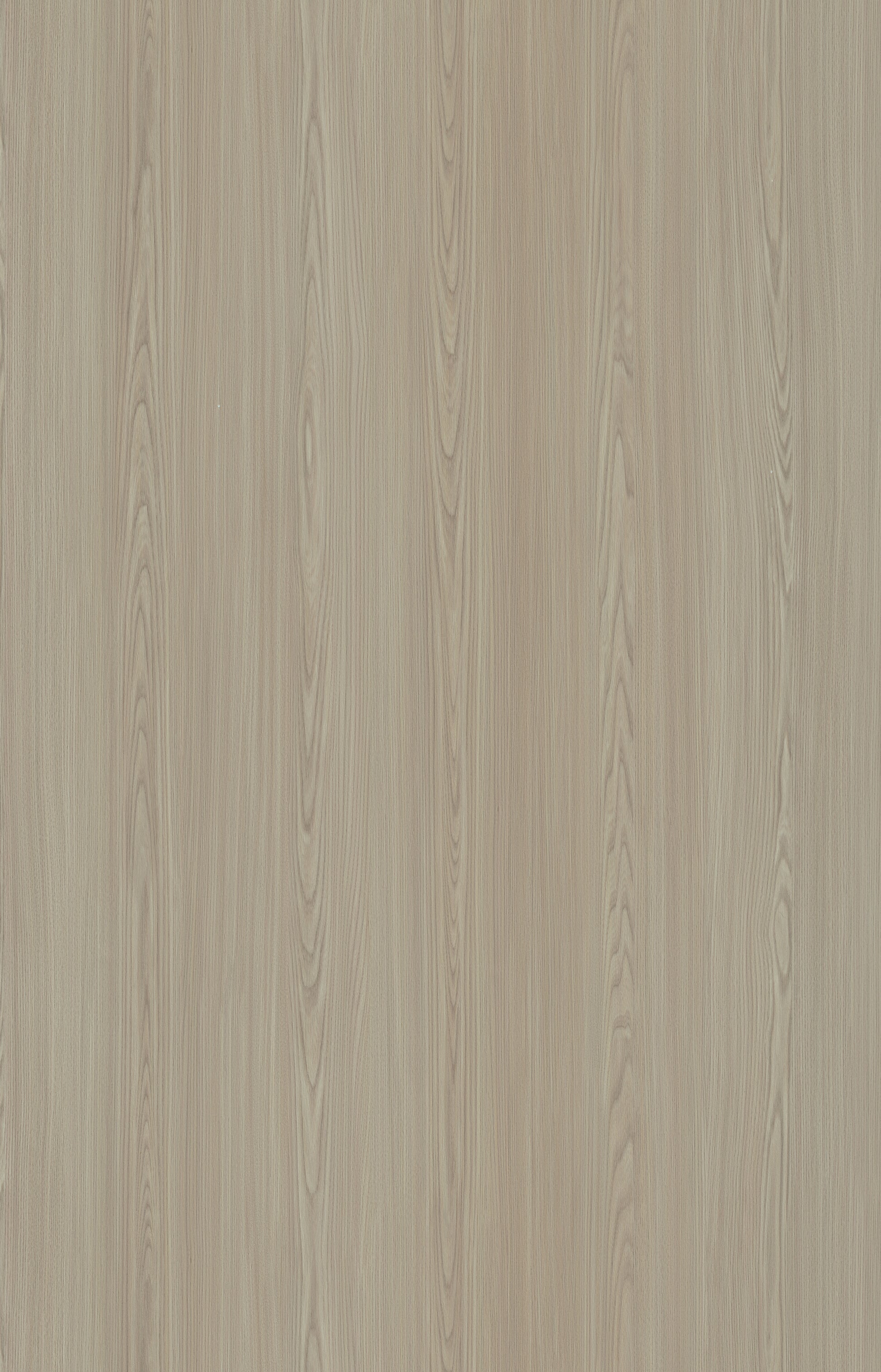 Designtree 1mm Thermolaminate - Dtw 24 - 272 - Birnam Oak St03 