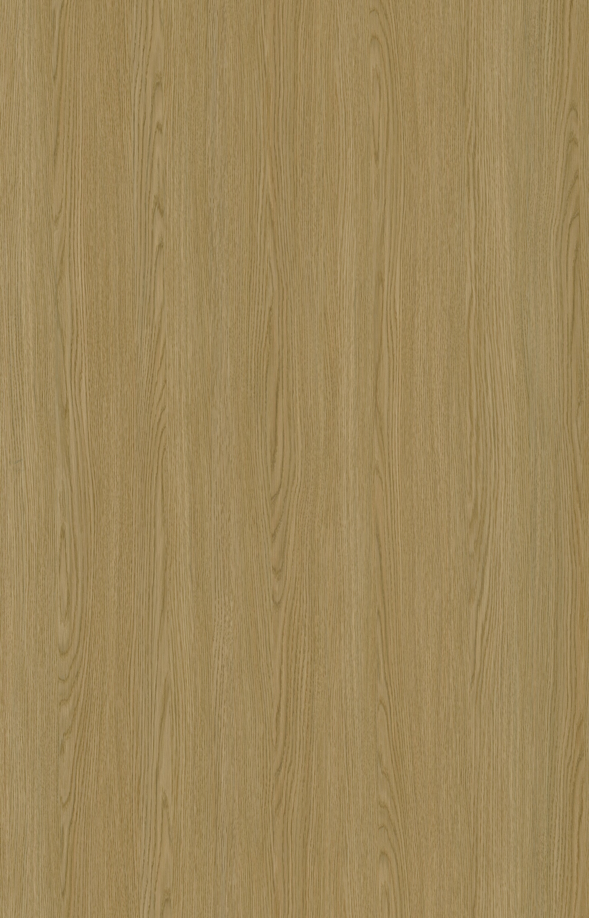 Designtree 1mm Thermolaminate - Dtw 24 - 281 - Lace Wood Sto2 
