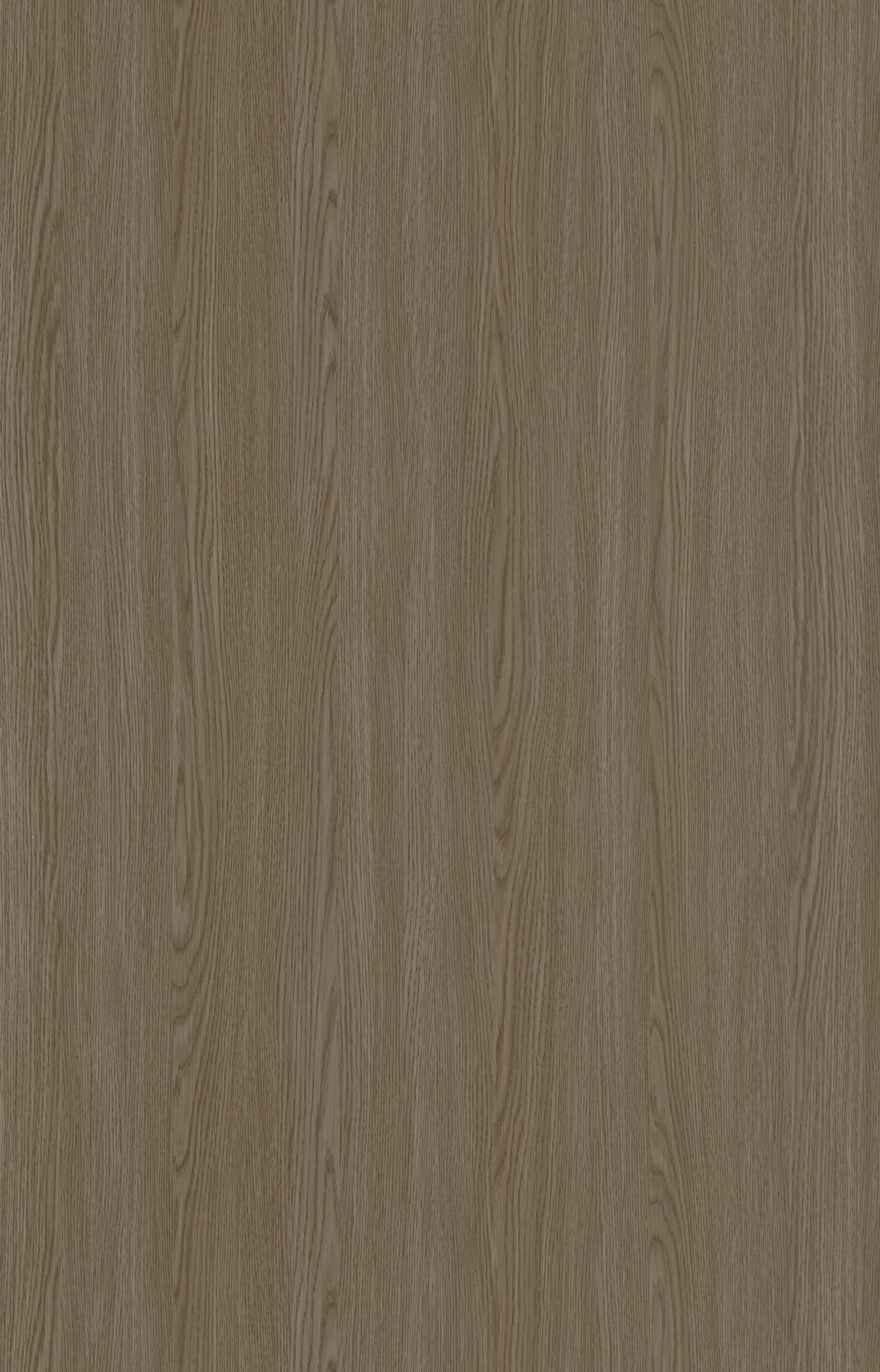 Designtree 1mm Thermolaminate - Dtw 24 - 283 - Lace Wood Sto2 