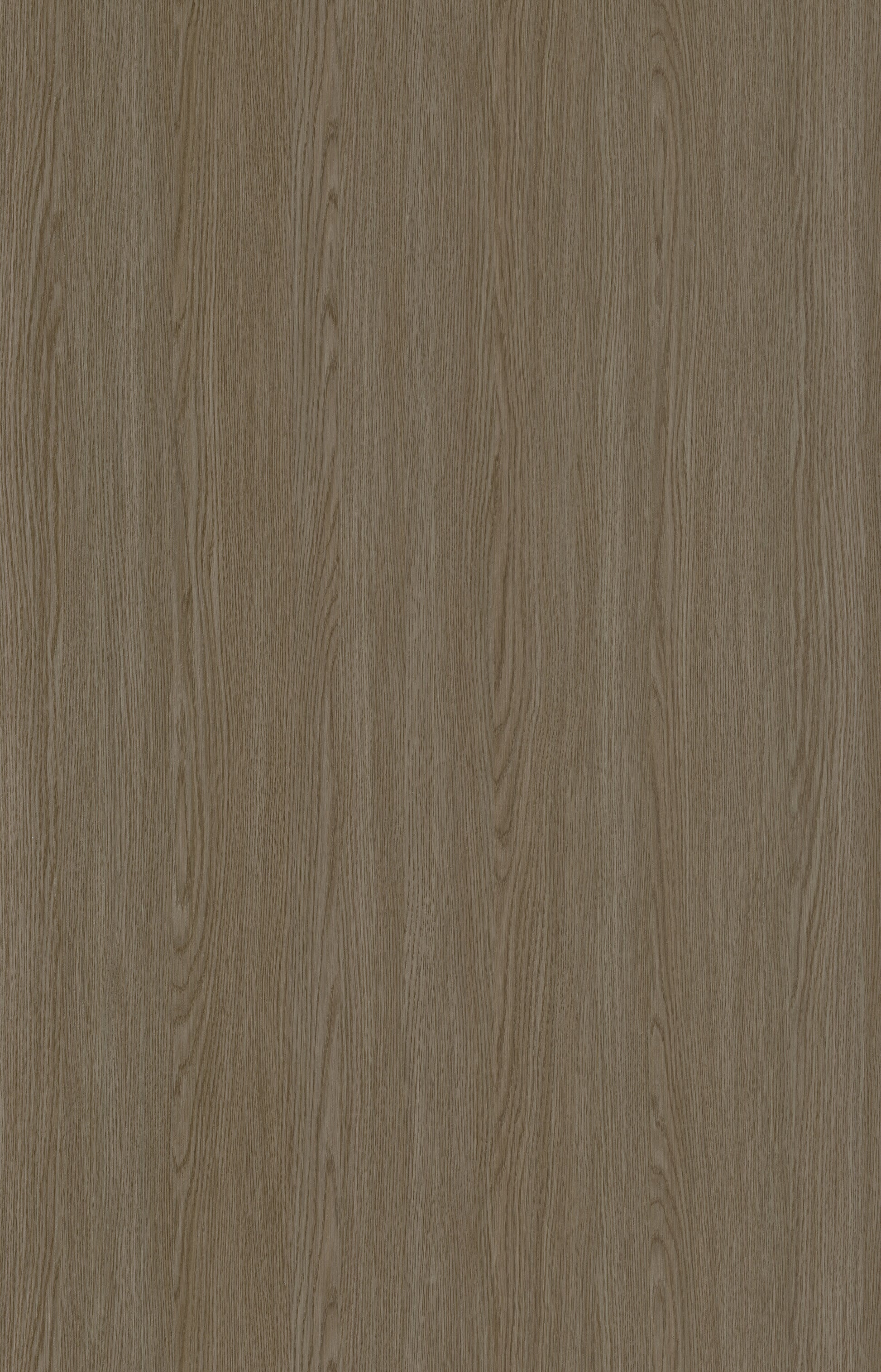 Designtree 1mm Thermolaminate - Dtw 24 - 283 - Lace Wood Sto2 