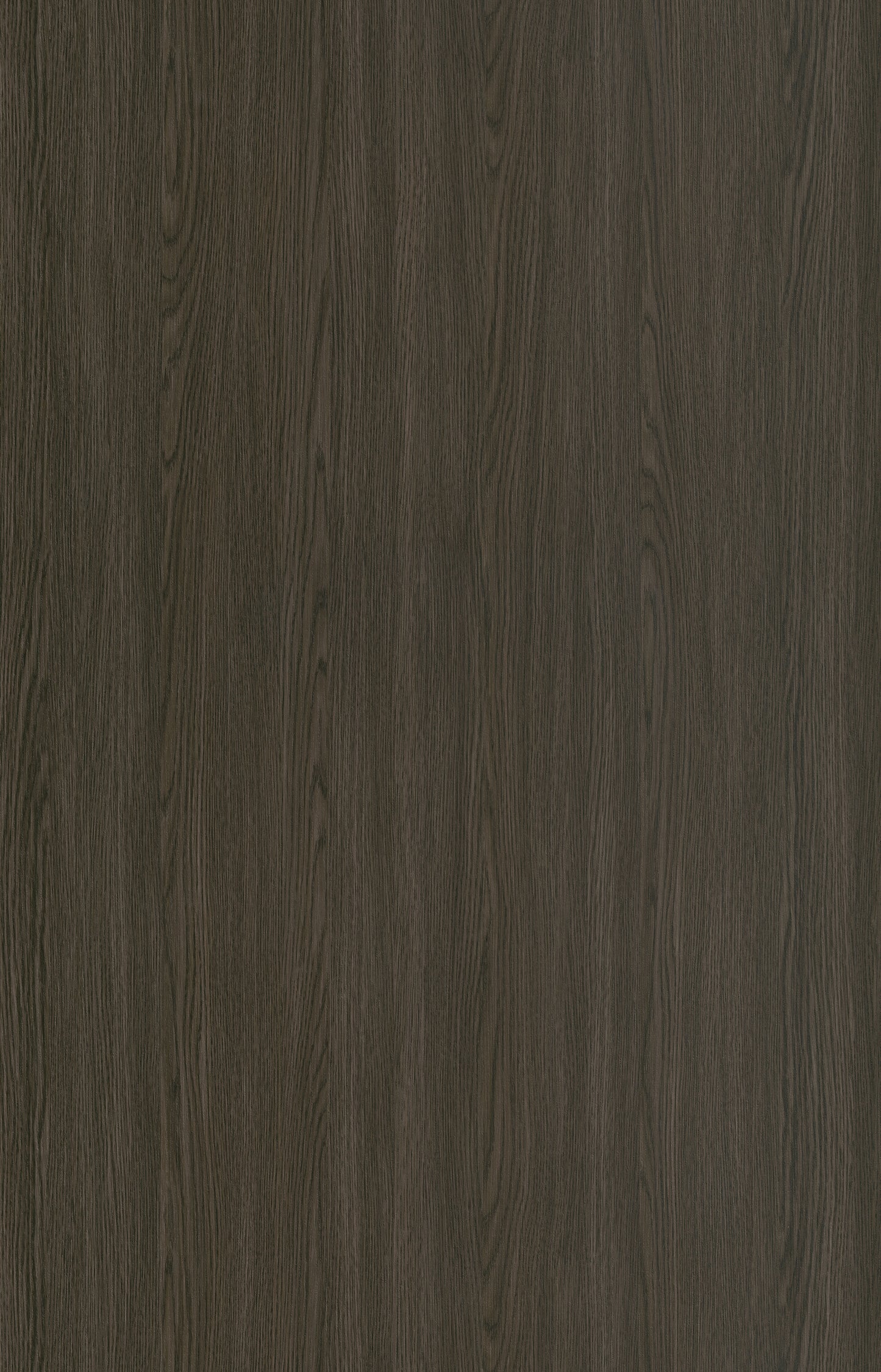 Designtree 1mm Thermolaminate - Dtw 24 - 285 - Lace Wood Sto2 