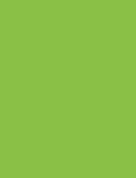 Century Prowud Prelam Particle Board - 289 - Bloom Green