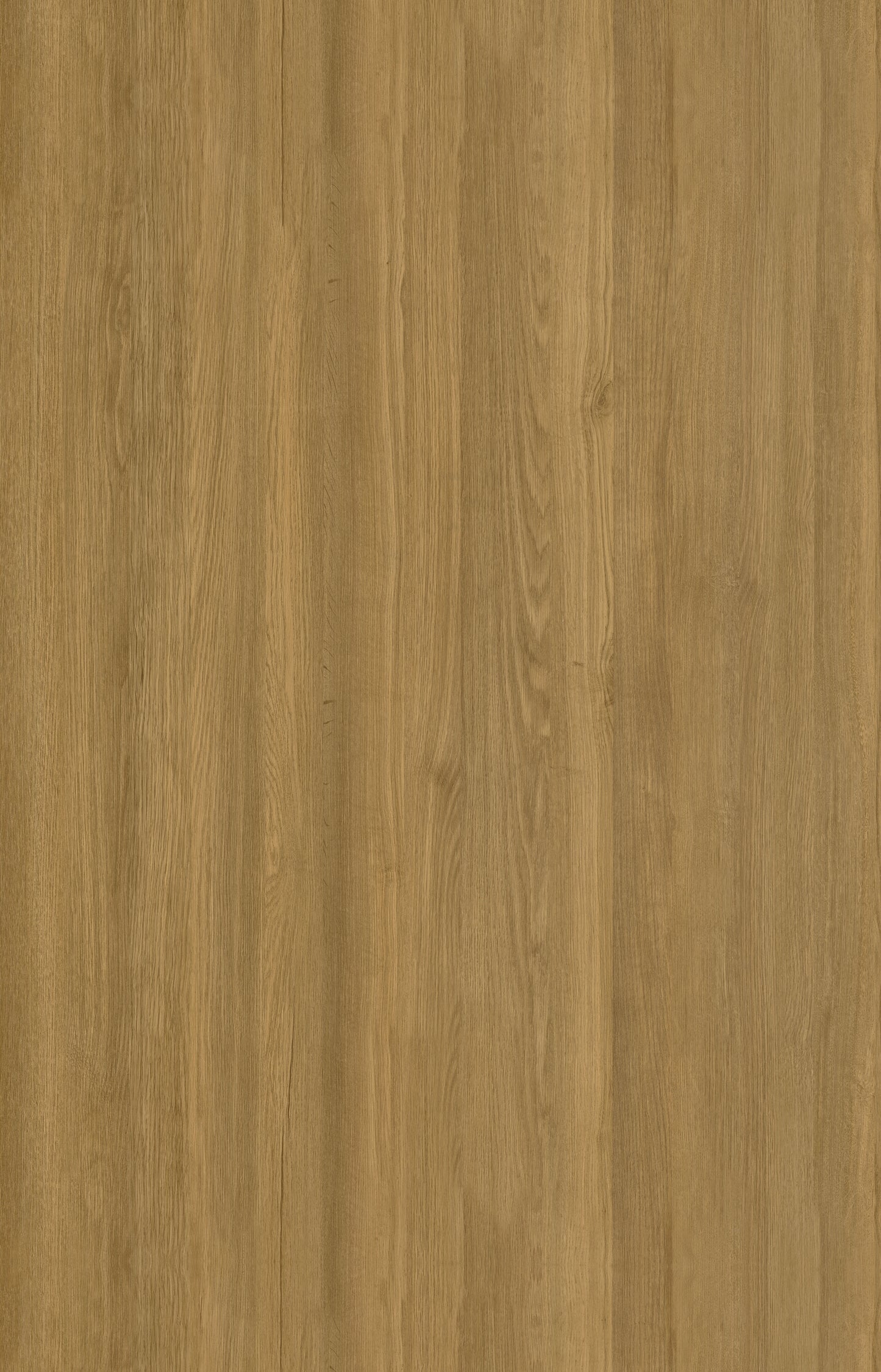 Designtree 1mm Thermolaminate - Dtw 23 - 299 - Ruster Elm St01 