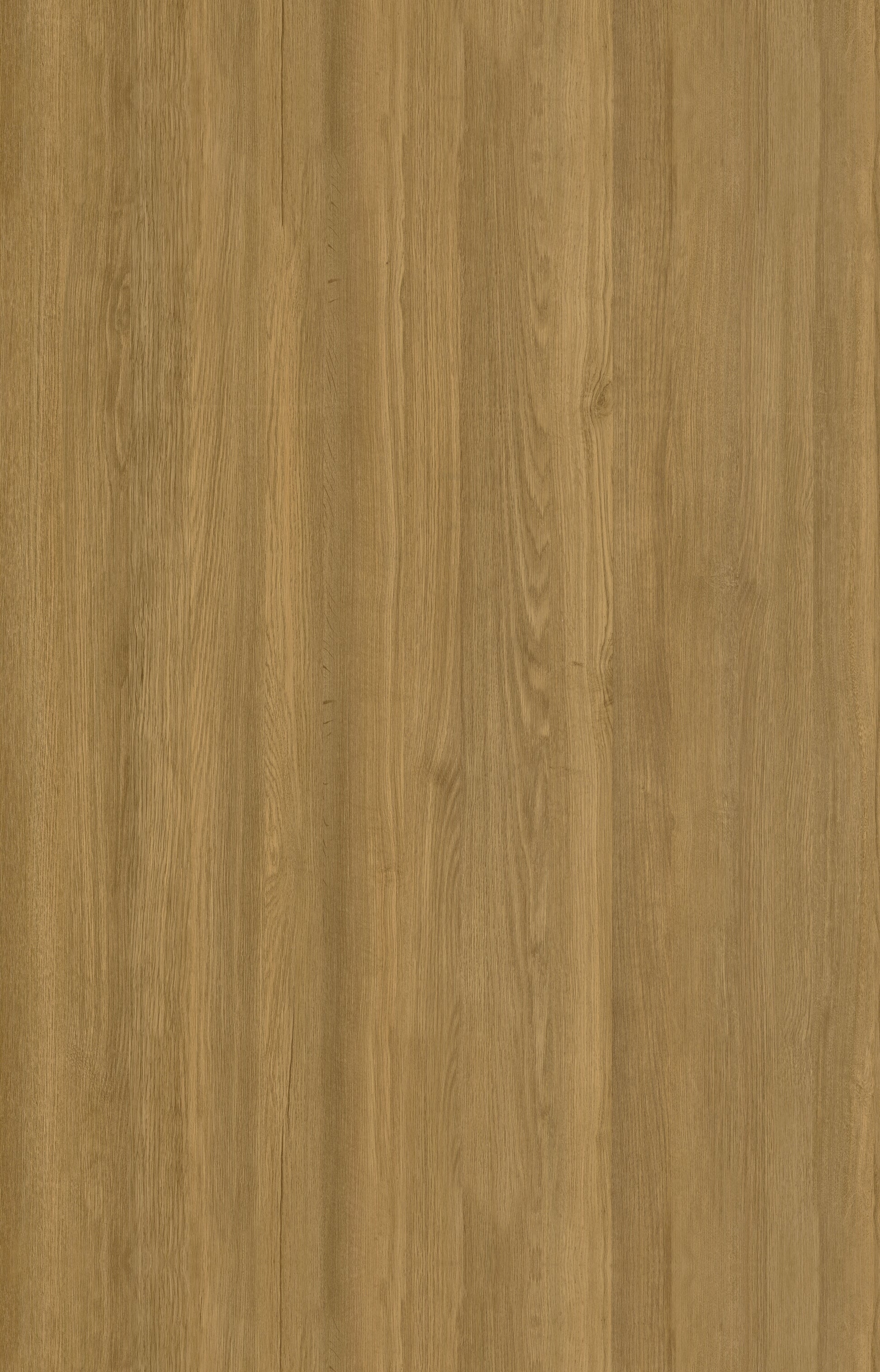 Designtree 1mm Thermolaminate - Dtw 23 - 299 - Ruster Elm St01 
