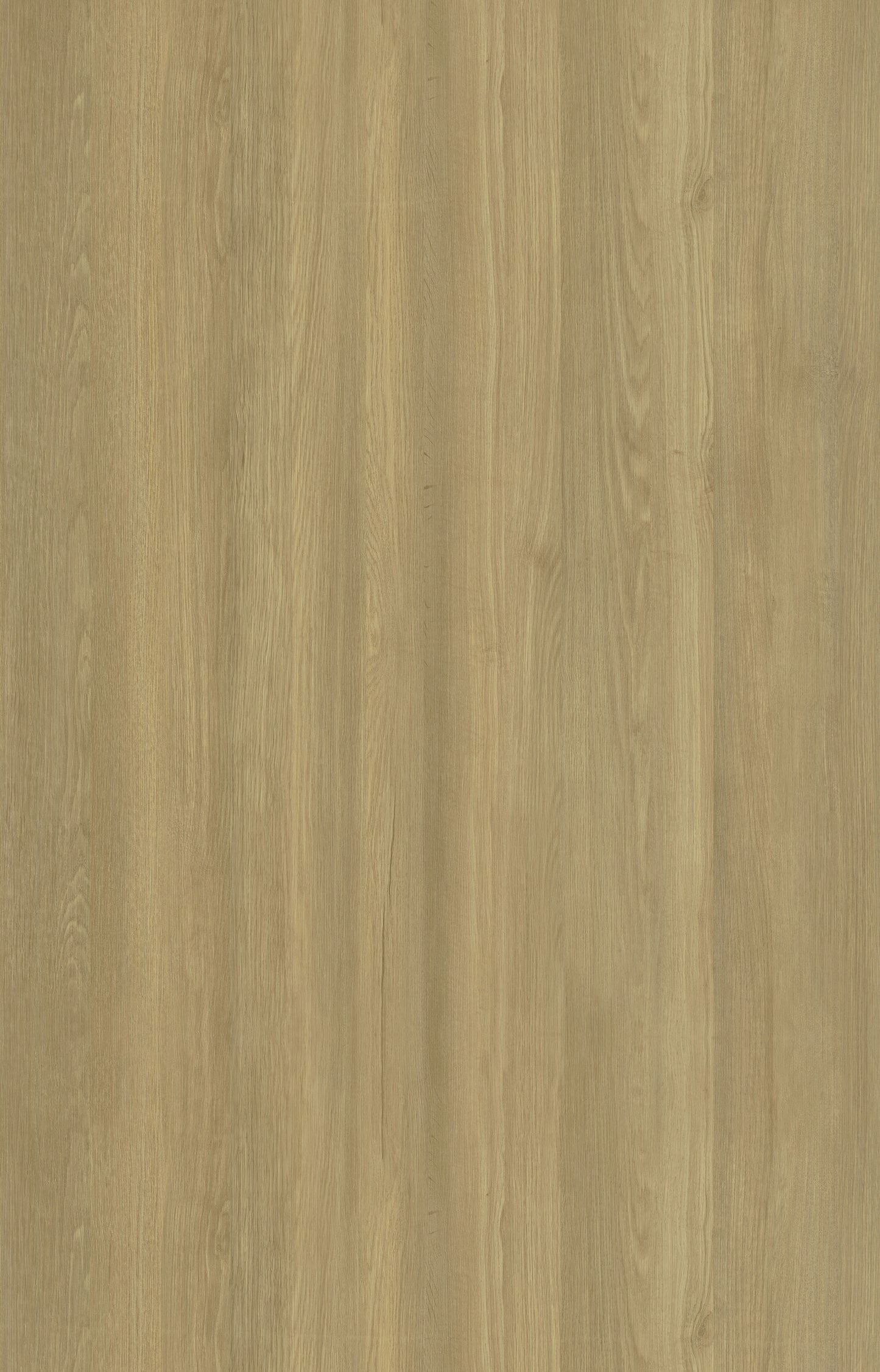Designtree 1mm Thermolaminate - Dtw 23 - 300 - Ruster Elm St01 