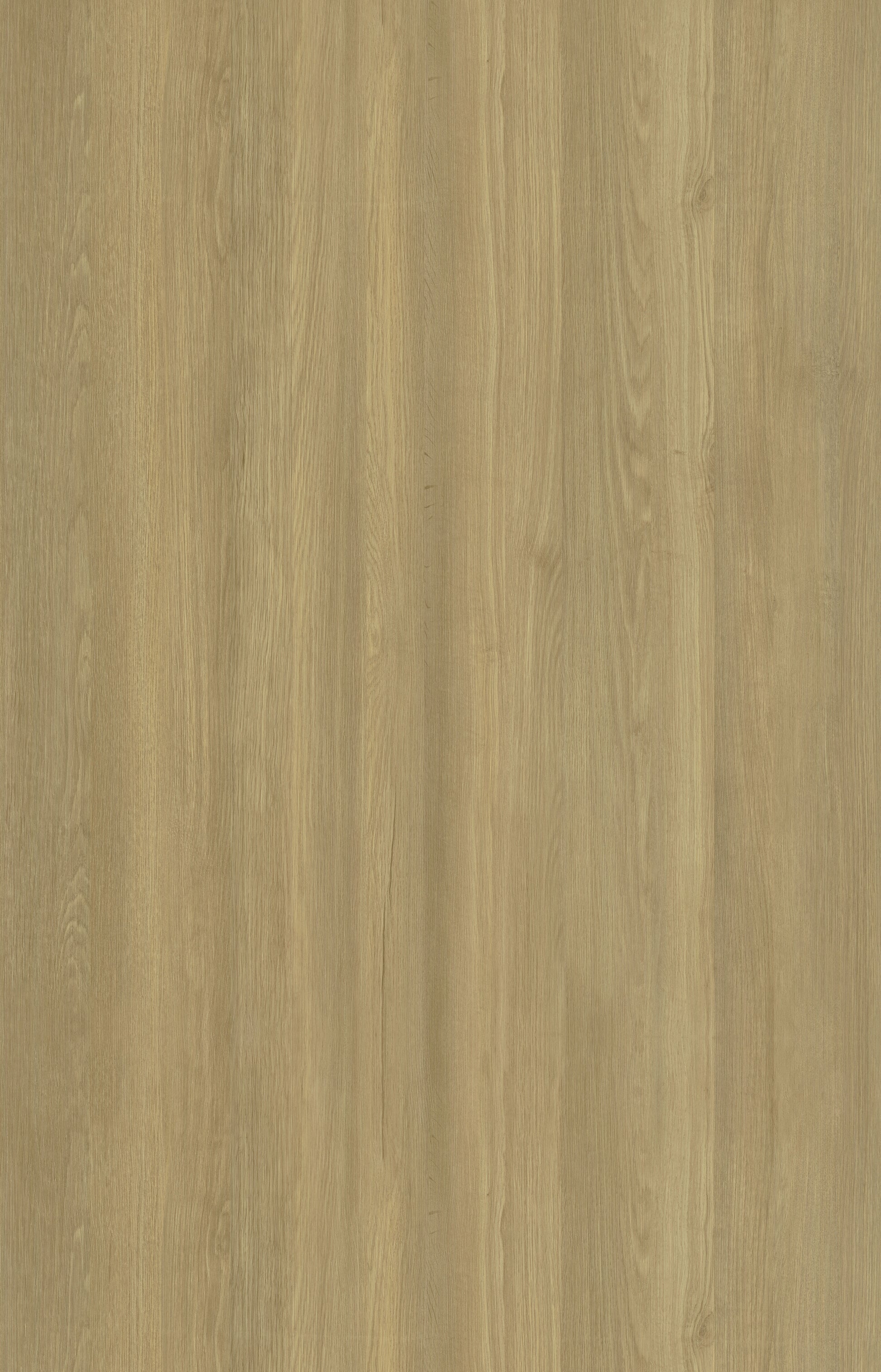 Designtree 1mm Thermolaminate - Dtw 23 - 300 - Ruster Elm St01 