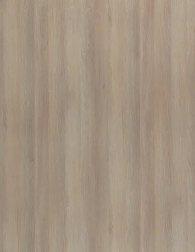 Action Tesa Prelam MDF board-3025-Moldau Acacia Light - 8ftx4ft