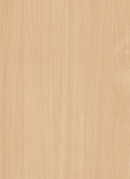 Century Prowud Prelam Particle Board - 303 - Bodenasee Beech