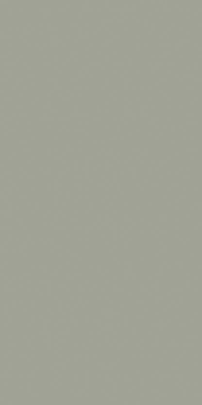 Century Laminates - 3238 - Silica Grey