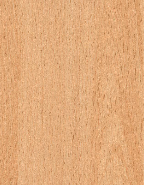 Century Prowud Prelam Particle Board - 323 - Intal Beech