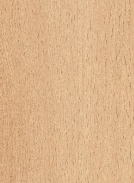 Century Prowud Prelam Particle Board - 3324 - Mangful Beech