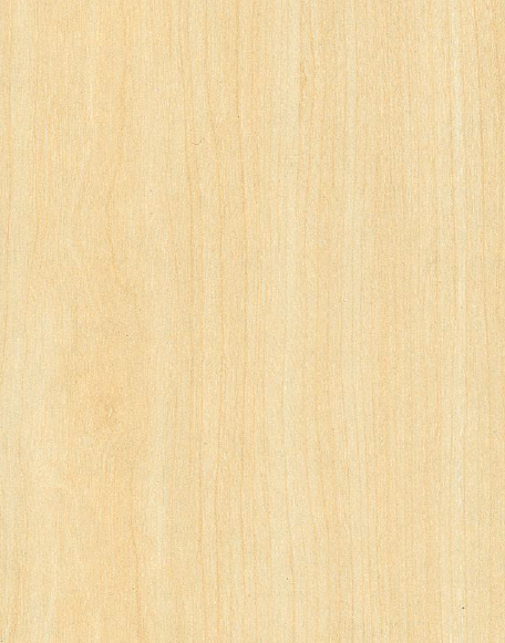 Century Prowud Prelam Particle Board - 3525 - Fusion Maple