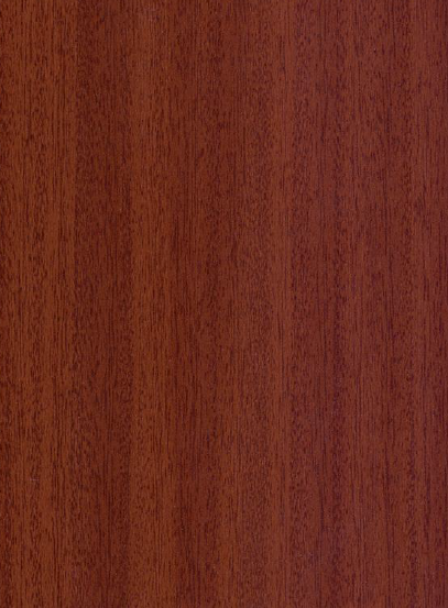 Century Prowud Prelam Particle Board - 3541 - Sapeli