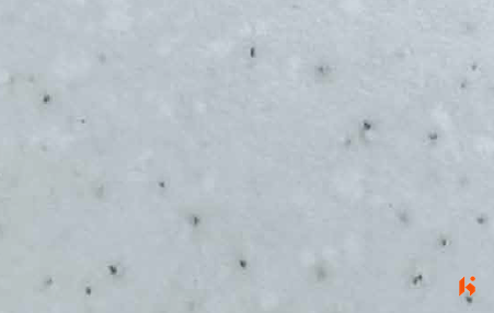 Merino Calplus 0.8mm Laminates - 42101 - Manito Mosac