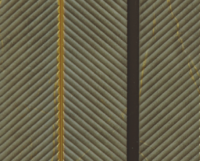 Treelam 8mm Louvers - CL-4213