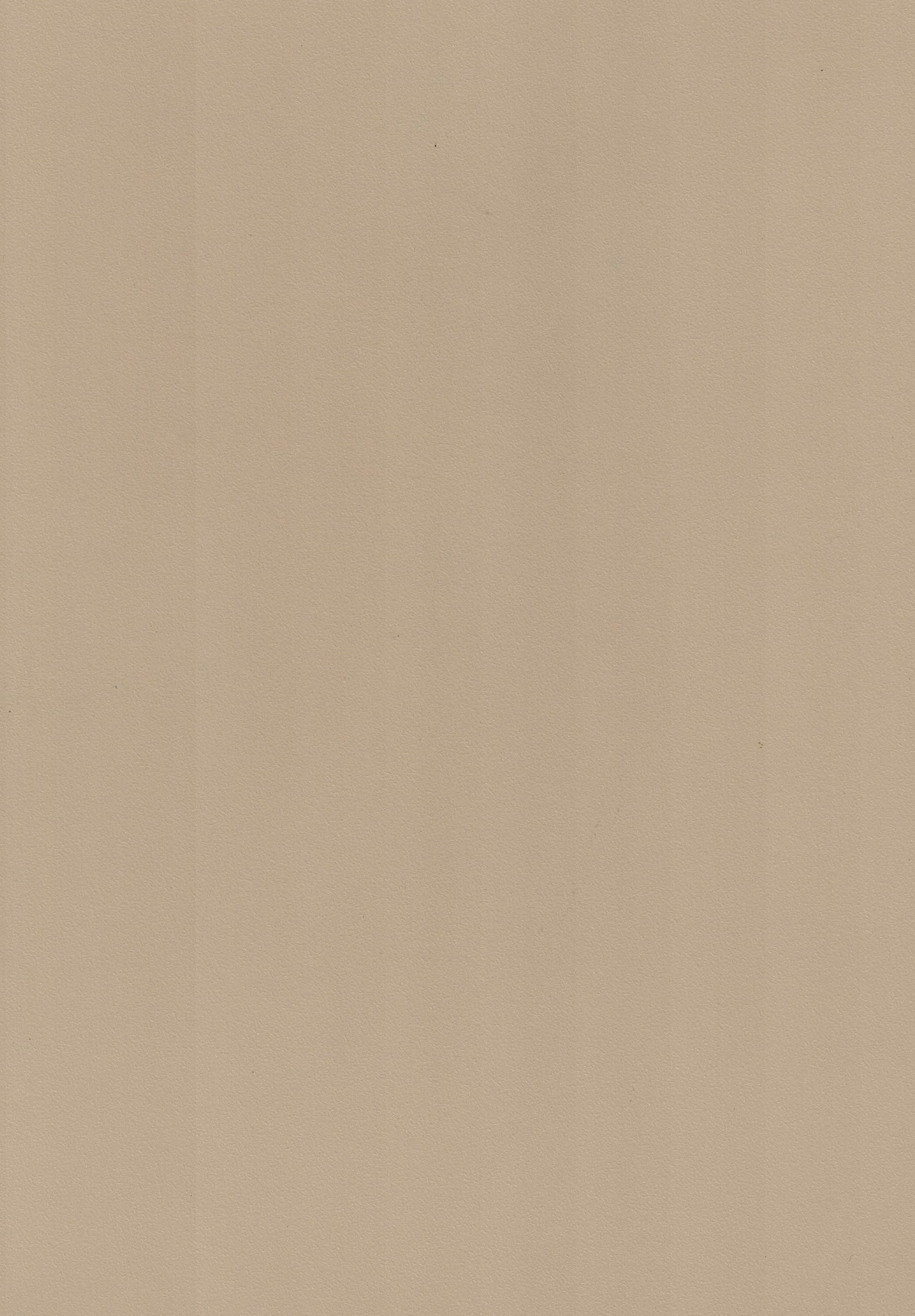 Saket Laminates - 424 - Doeskin