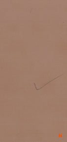 Saket Laminates - 443 - Swiss Coffee