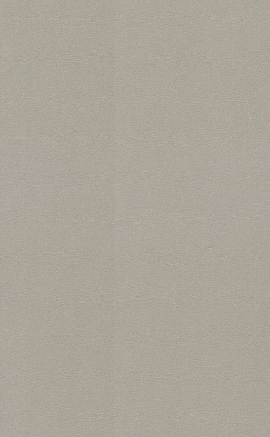 Saket Laminates - 444 - Irish Cream