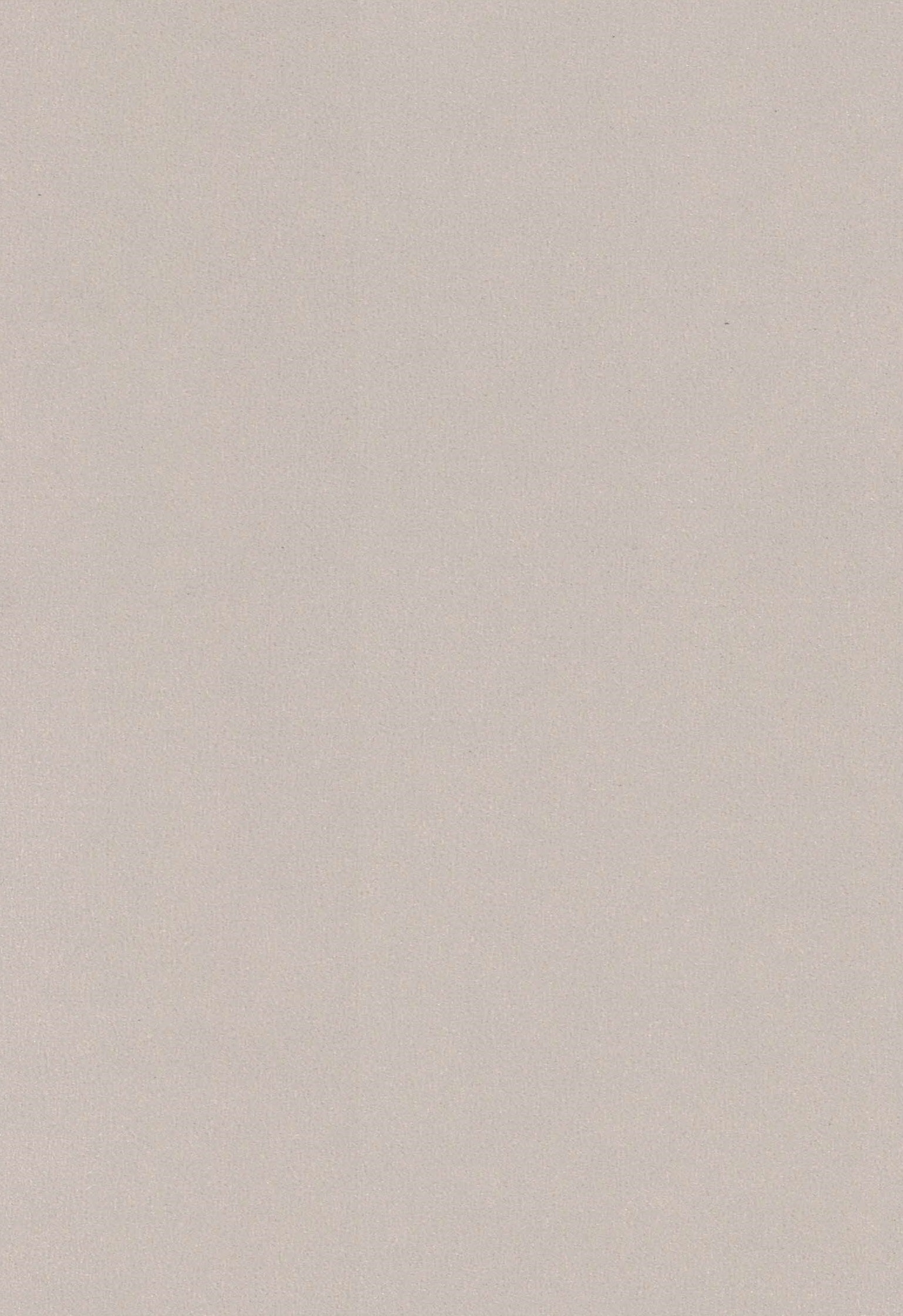 Saket Laminates - 446 - Metal Beige