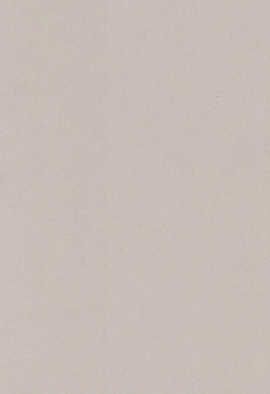 Saket Laminates - 446 - Metal Beige