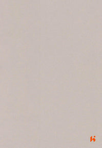 Saket Laminates - 446 - Metal Beige