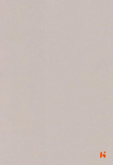 Saket Laminates - 446 - Metal Beige