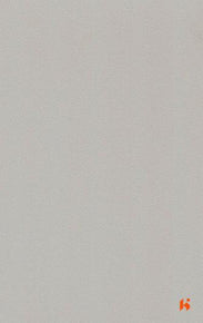 Saket Laminates - 463 - Aluminium Grey