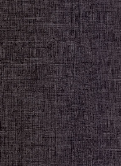 Century Prowud Prelam Particle Board - 4861 - Brila Weave