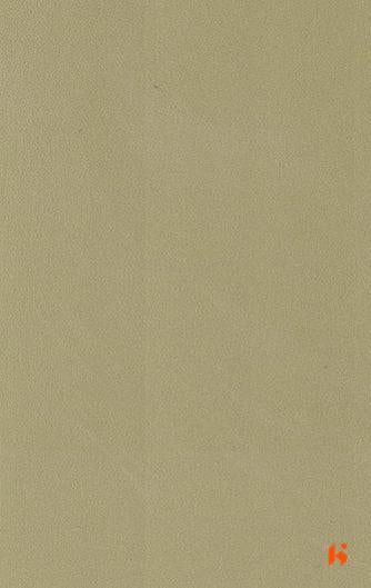Saket Laminates - 488 - Khaki