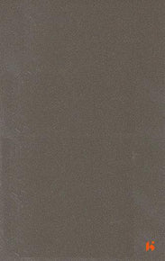 Saket Laminates - 489 - Pine Nut