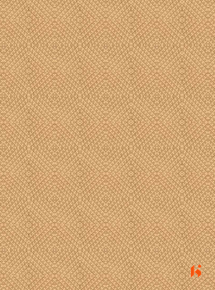 GreenTouch 0.8mm Laminates - 4902 - Along