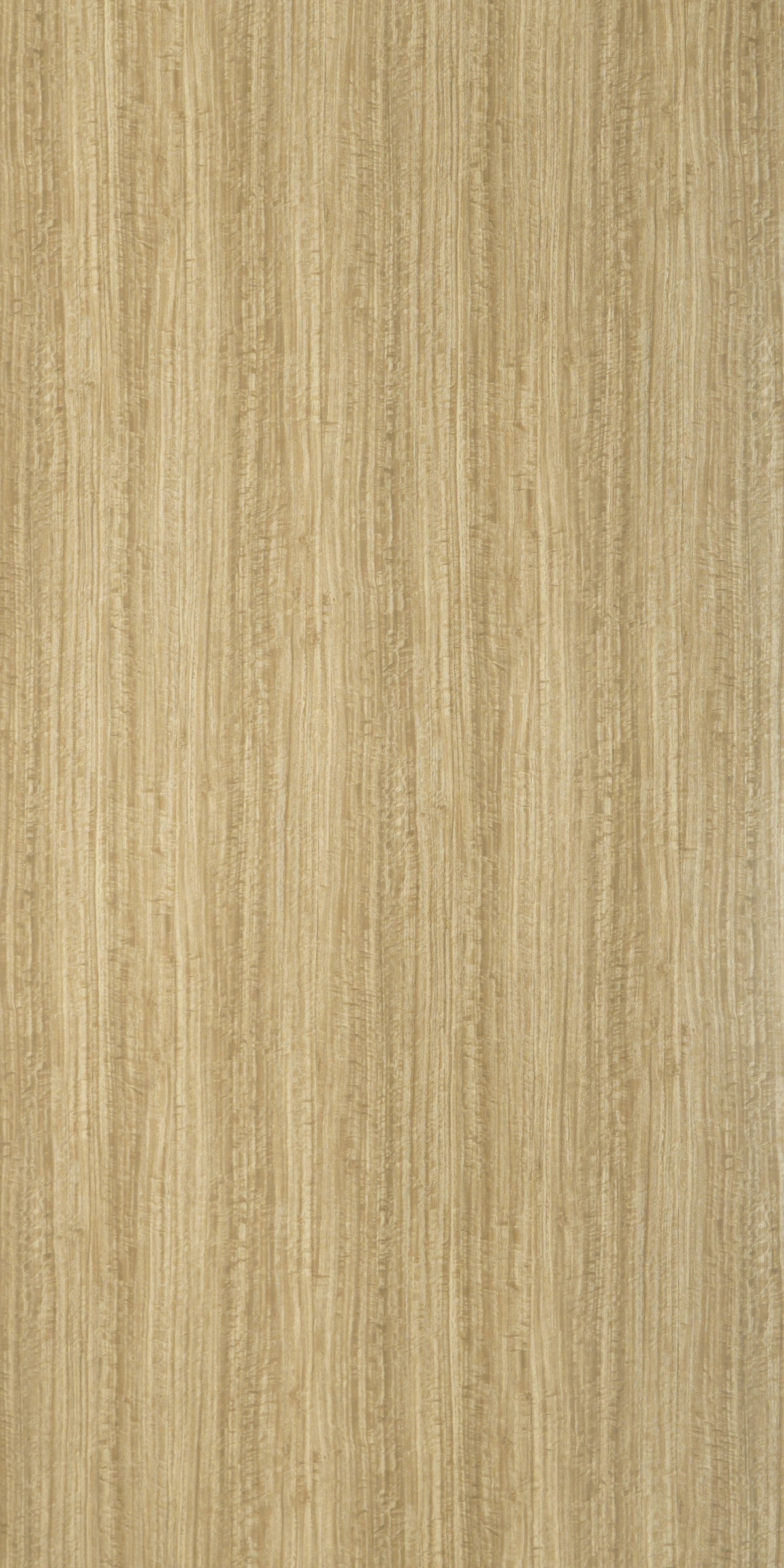 Greenlam Laminate 1mm - 5302 - Pure Eucalyptus